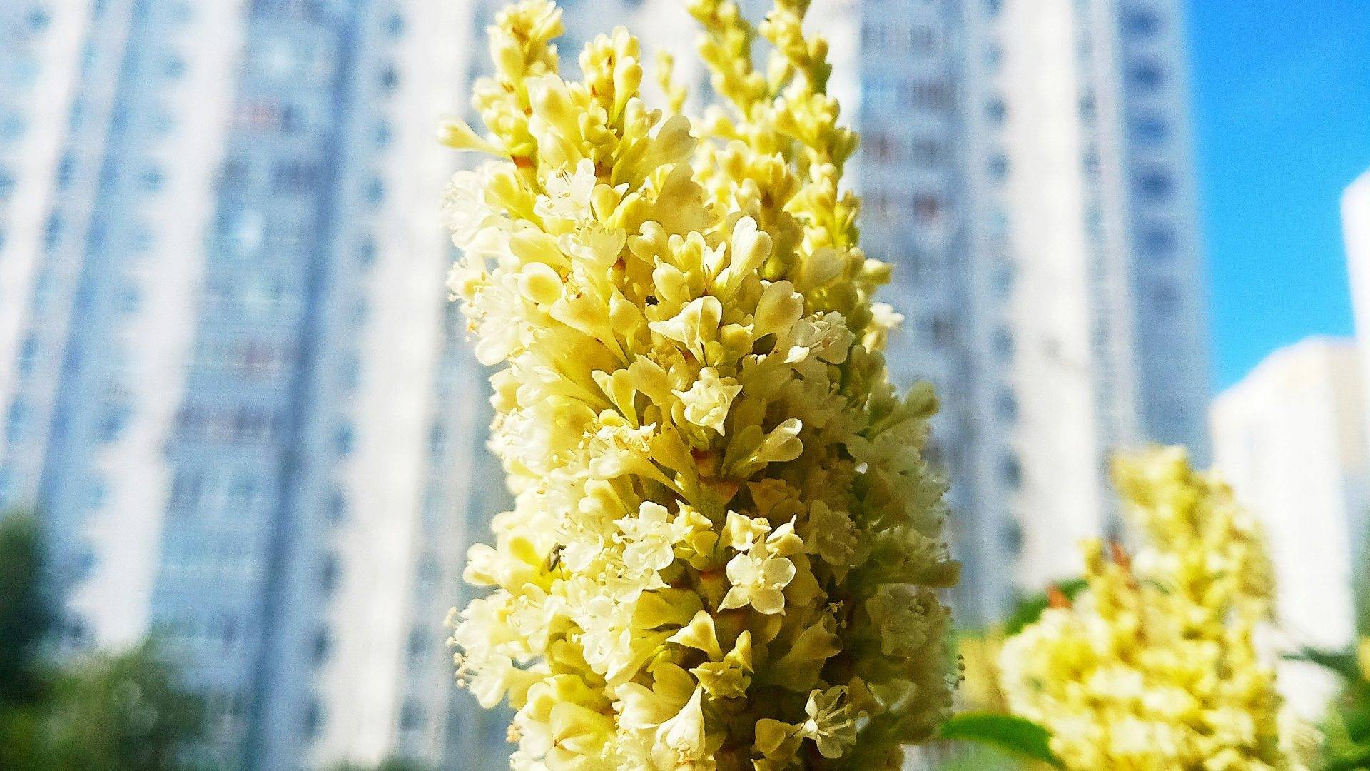 Shahin Properties Ltd Hero Slider Image 3